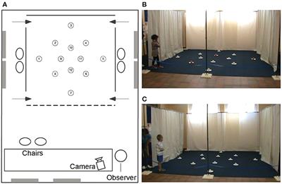 A Critical Review of Spatial Abilities in Down and Williams Syndromes: Not All Space Is Created Equal